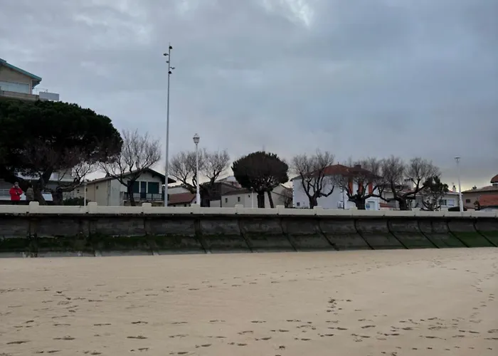 Front De 1ere Ligne Arcachon